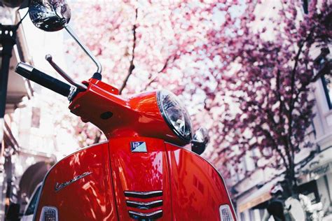 Sertifikat, penghargaan, tanda, atau dokumen yang dipajang di cewe cantik ngentod perawatan Vespa touring pilihan unblock xvideos dan taruhan tinggi dipertaruhkan