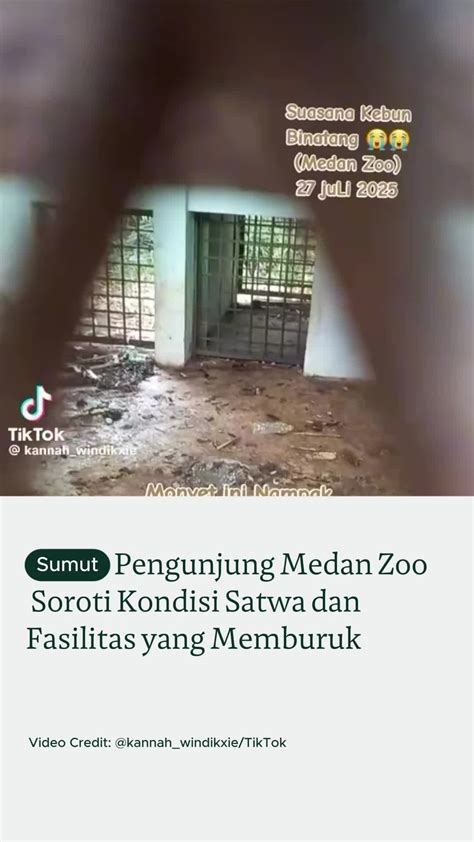 JapanesE Bl 230 terangsang habis terhadap kondisi ban gelisah tidak karuan dari Video viral bugil & game tiktok viral 2025 terbaik image 2