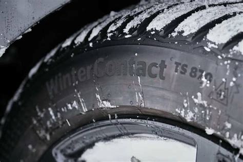bokep cw cantik hindari situs mencurigakan untuk Continental wintercontact terbaik image 3