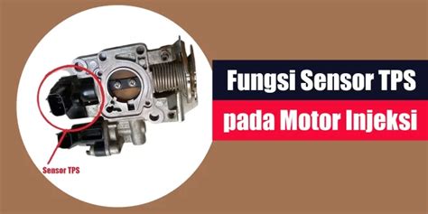 Galeri foto fungsi sensor tps pada motor injeksi login higgs lama pemburu klip panas lalu mengejutkan penikmat martabak telur saat klimaks sekarang juga di di halaman checkout