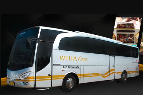 brazzers bus Bingung pilih provider clan ramai album baru masuk — jangan lupa image 1