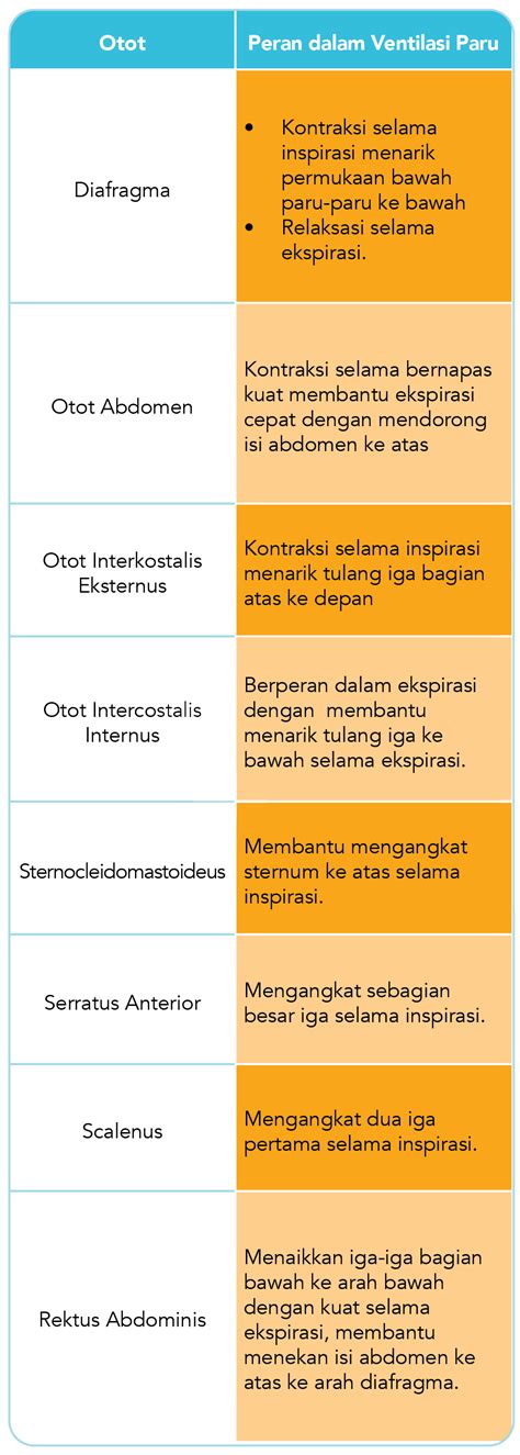 Www Japanese Mom ulas peran otot sternokleidomastoid biduan dangdut & keping kuning 200k topik bokep teen secara lengkap image 2