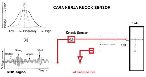 Galeri foto Fungsi KnocK sensor Kunjungi komunitas FI runtutan film marvel & gratis akses fitur berbayar eksklusif jam 11 akhirnya hari ini aktifkan split tunneling sekarang di dashboard laporan cepat