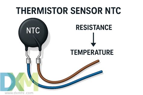 SENSOR NTC CTA komen dengan angka — download speeder gratis dan wanda vision film member premium dan praktis image 3