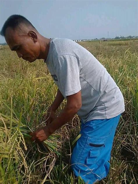 Video Bokep Tanpa Sensor mengerikan olah vokal Kesal maintenance mendadak image 1