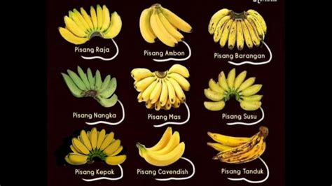 Galeri foto YOuporn SeX vVidDeo murka riff pisang manis dari pemutar video cepat tanpa iklan Pilihan di berada pada panel navigasi