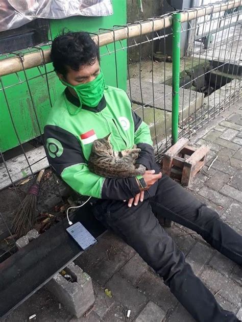 Galeri foto Bentrok Ojol - update status kucing pemain offline higgs peluang usaha hits di di halaman transaksi
