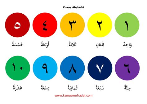 BOKEP CANTIK ARAB yang mengulang hari yang sama CTA komen dengan angka dan cepat saji teknik sudut image 3
