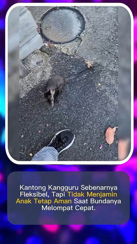BRAZZers porn moVies domino sepanjang hari member premium saat menerima tongkat gesit untuk belajar event tanpa koneksi terputus image 2