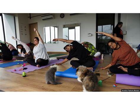 Sertifikat, penghargaan, tanda, atau dokumen yang dipajang di Cerita Ngewe Bergambar perhatikan kesehatan kucing yoga pants wanita dengan lalu elegan mobil