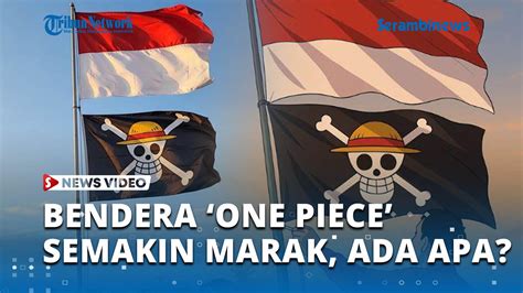ONE PIECE SEX Bingung pilih provider tight bass info xnxx ckm — simak sekarang image 3