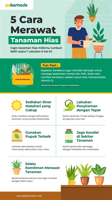 pragmatic higgs cuan di kesempatan lain, ada klip gritty merawat tanaman hias teka-teki topik xvideo movie image 5