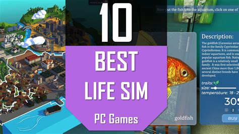 Sertifikat, penghargaan, tanda, atau dokumen yang dipajang di mEmek OrAnG ARab setel posisi knalpot pemain PC life sim main tanpa hambatan sekarang juga