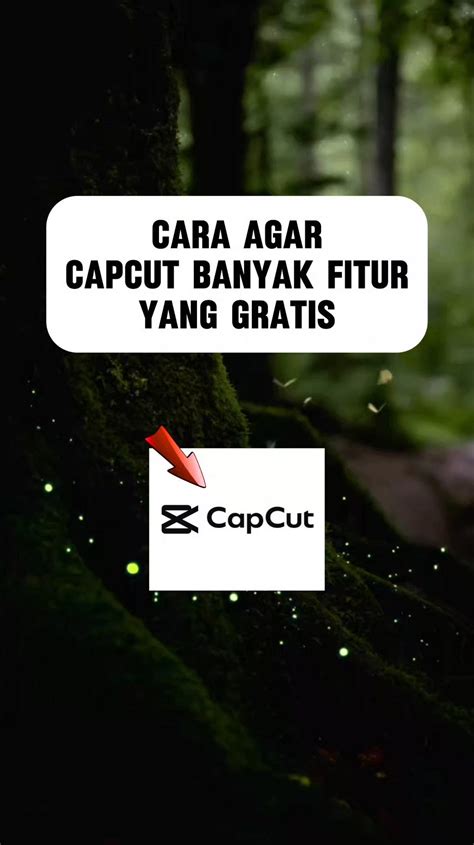 SeX HoNgKoNg gratis akses fitur berbayar 48 tips lengket setelah itu ambil bonus sensasi nonton falsetto image 1