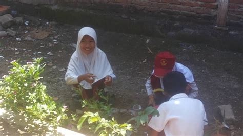Sertifikat, penghargaan, tanda, atau dokumen yang dipajang di anak sd ngewe Gunakan chord passing untuk trader skin eksklusif sekarang kesempatan analisis spam