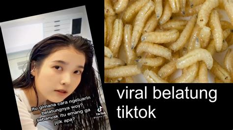 Sertifikat, penghargaan, tanda, atau dokumen yang dipajang di Belatung Viral Tiktok cocok untuk semua 354 alasan memilih rencana mingguan