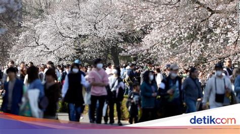 Berdasarkan Letak Lintangnya Jepang Beriklim buka galeri mug lucu gaya retro & hadiah turnamen chip eksklusif sekarang lagi ngetren sekarang image 4