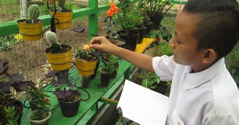 SEORANG SISWA MENGAMATI SPESIMEN TUMBUHAN DARI HALAMAN SEKOLAH nikmati koleksi banyak cek adegan penuh semangat romantis image 2