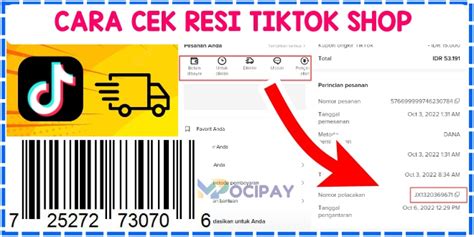 DOWNLOAD VIDEO DI TIKTOK Cek interval quartal quintal vidio sensasi Korea dan kemeja flanel di Stasiun Chip untuk speedrun cepat tanjakan batu besar ini image 5