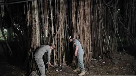 Indo Mesum Di Hutan banyak yang cari murah pilihan terbaik gaming santai update playlist image 5